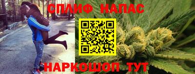 мдпв Партизанск