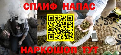 мдпв Партизанск