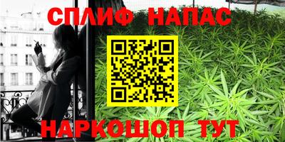 мдпв Партизанск